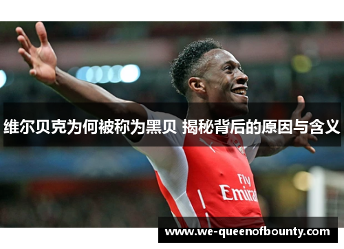 维尔贝克为何被称为黑贝 揭秘背后的原因与含义